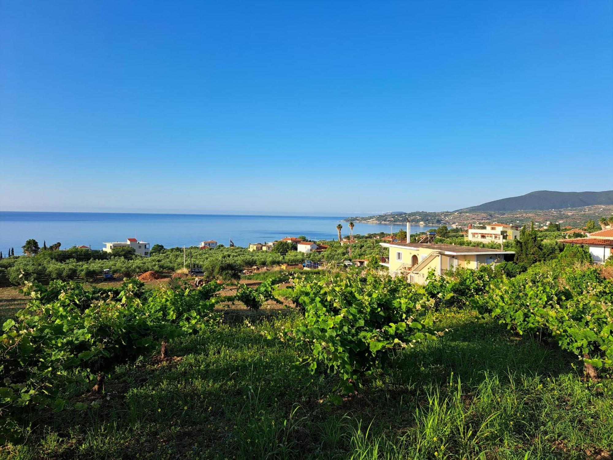 Takis Bizos House 1 Villa Koróni Eksteriør billede